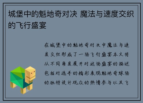 城堡中的魁地奇对决 魔法与速度交织的飞行盛宴